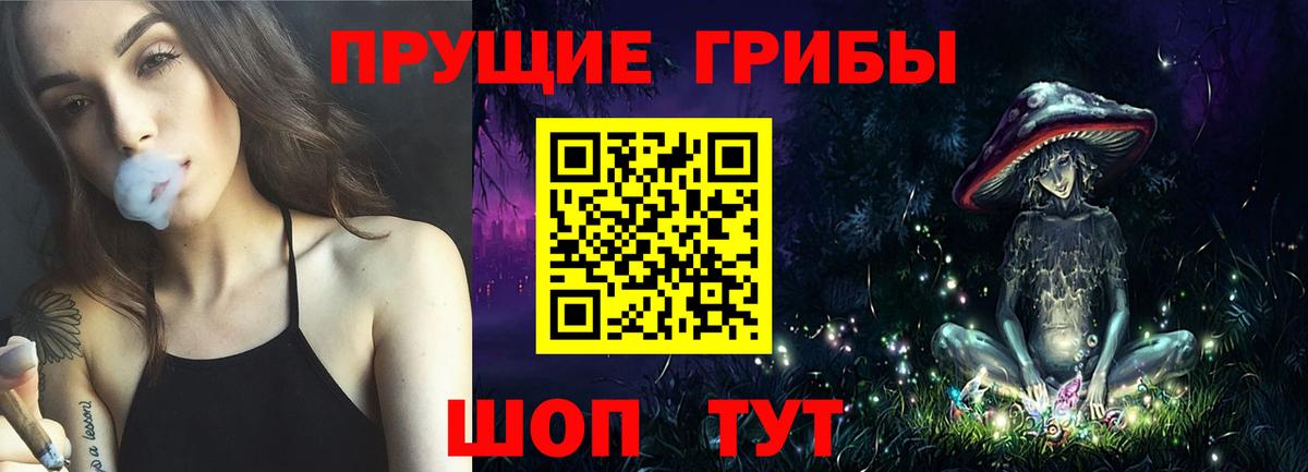 Псилоцибиновые грибы Psilocybe Балахна