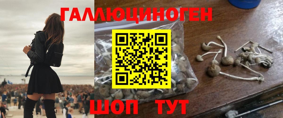 Псилоцибиновые грибы MAGIC MUSHROOMS  Галлюциногенные грибы мицелий  Балахна  Вход с VPN 